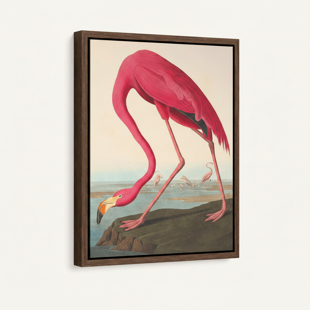 Stretched canvas flamingo Audubon print side view on warm cream background