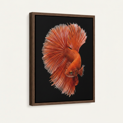 Side angle of float-framed betta fish canvas showing walnut wood frame detail against white wall