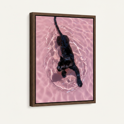 Framed canvas print of aerial black panther in pink water, dark walnut floating frame