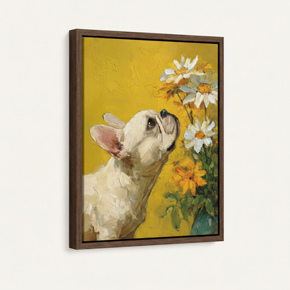 French Bulldog sniffing daisies in warm brown float frame, front-facing product photography
